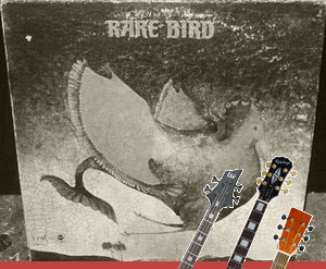 Free Bird Chords