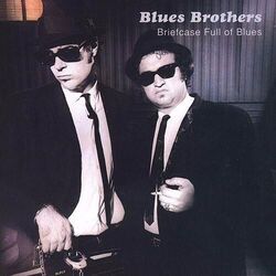 I Don't Know by The Blues Brothers