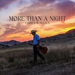 More Than A Night by Caiden Wallace