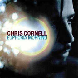 Steel Rain  by Chris Cornell
