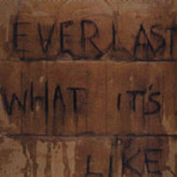 What Its Like by Everlast