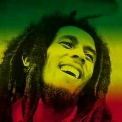 Roots Rock Reggae by Bob Marley