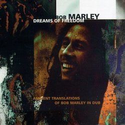 The Heathen by Bob Marley