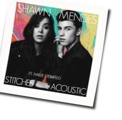 Stitches Acoustic by Shawn Mendes