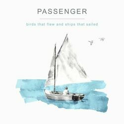 Bird In Flight by Passenger
