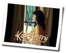 Roar Acoustic by Katy Perry