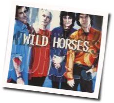 Wild Horses  by The Rolling Stones
