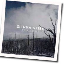 Even Stronger Acoustic by Sienna Skies