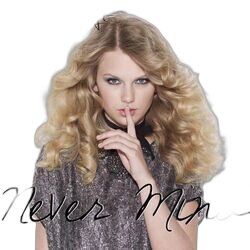 Never Mind by Taylor Swift