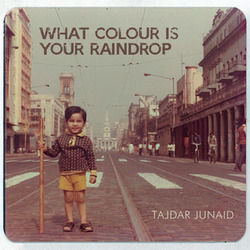 What Color Is Your Raindrop by Tajdar Junaid