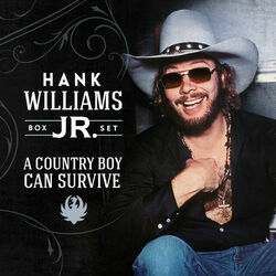 Young Love by Hank Williams Jr.