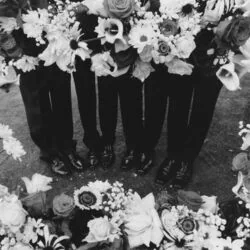 I'm In Love With You Bass Tab by The 1975