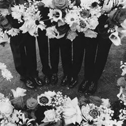 I'm In Love With You Chords by The 1975