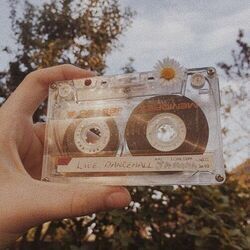 Then Because She Goes Tabs by The 1975
