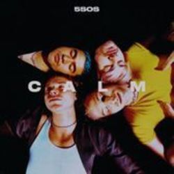 5 Seconds Of Summer bass tabs for Lonely heart