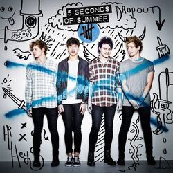 Never Be by 5 Seconds Of Summer