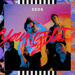 Why Won't You Love Me Bass Tab by 5 Seconds Of Summer