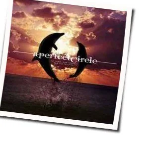 So Long And Thanks For All The Fish Chords by A Perfect Circle