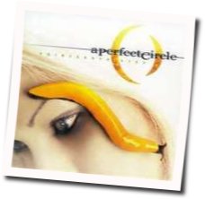 Gravity by A Perfect Circle