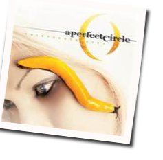 Passive Chords by A Perfect Circle