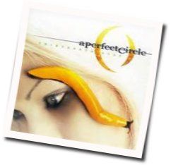 Vanishing by A Perfect Circle
