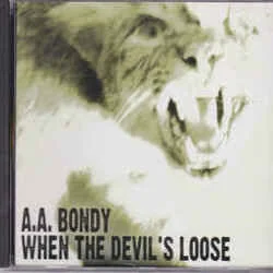 When The Devils Loose Chords by A.A. Bondy