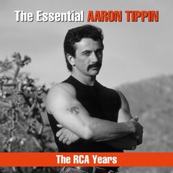 Aaron Tippin