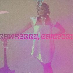 Strawberry California Chords by Abbie Callahan