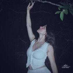 Peppermint Sky Chords by Abi Carter