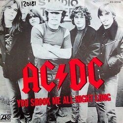 You Shook Me All Night Long  by AC/DC