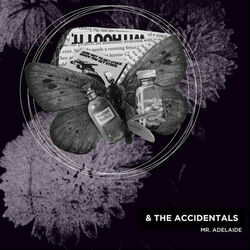 Anyway by The Accidentals