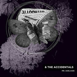 Anyway Chords by The Accidentals