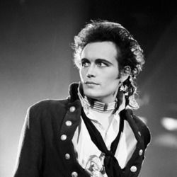 Prince Charming Ukulele by Adam Ant