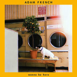 Punchbag Love Chords by Adam French