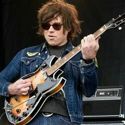 At Home With The Animals Chords by Ryan Adams