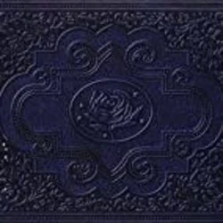 Cherry Lane Chords by Ryan Adams