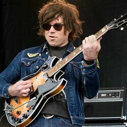 At Home With The Animals by Ryan Adams