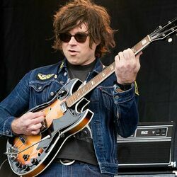 At Home With The Animals Chords by Ryan Adams