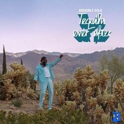Falling Up Chords by Adekunle