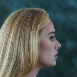 Strangers By Nature Chords by Adele
