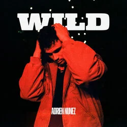 Wild Chords by Adrien Nunez