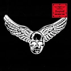 Wild Woman Chords by Aerosmith
