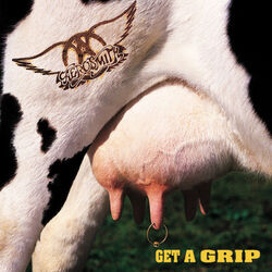 Get A Grip Tabs by Aerosmith
