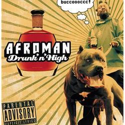 Lets All Get Drunk by Afroman