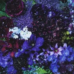 Hoshikuzu Venus 星屑ビーナス Chords by Aimer