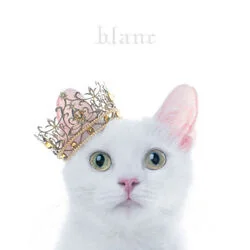 March Of Time Chords by Aimer