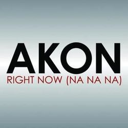 Right Now Na Na Na by Akon