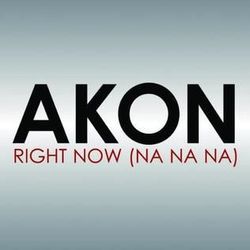 Right Now Na Na Na Intro by Akon