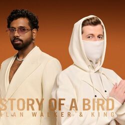 Story Of A Bird Chords by Alan Walker, King
