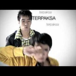 Status Palsu Chords by Vidi Aldiano
